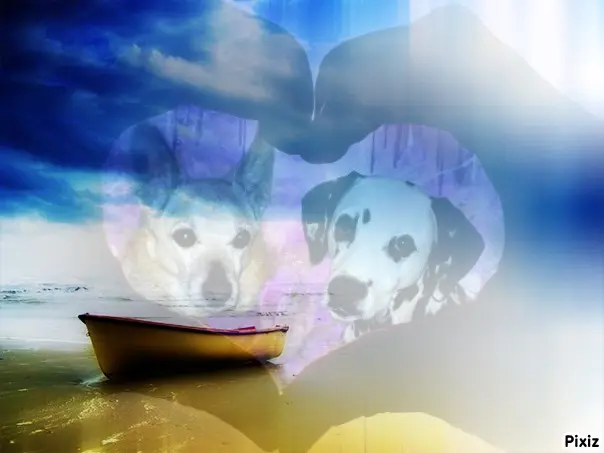 Condolence image of Tanja mit Timmy im Herzen 