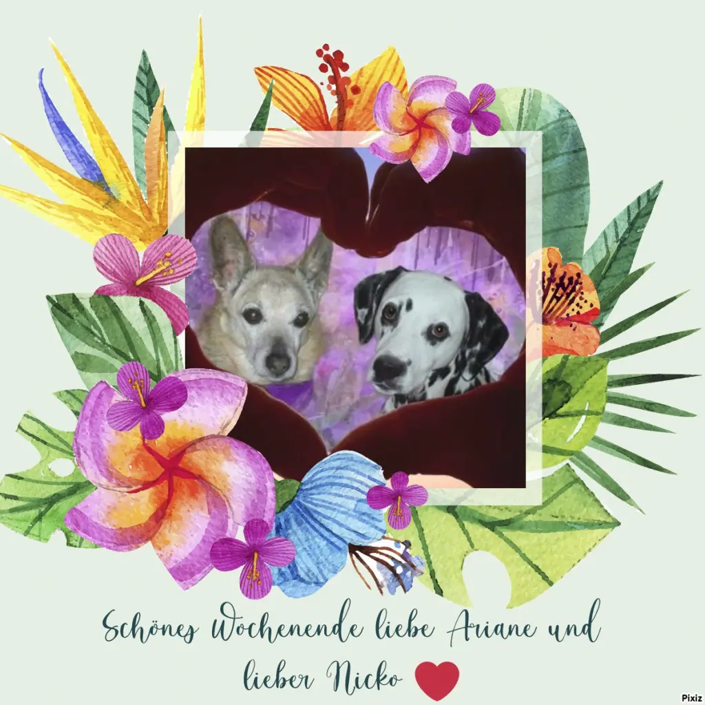 Condolence image of Tanja mit Timmy im Herzen 