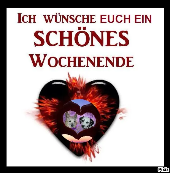 Condolence image of Tanja mit Timmy im Herzen 
