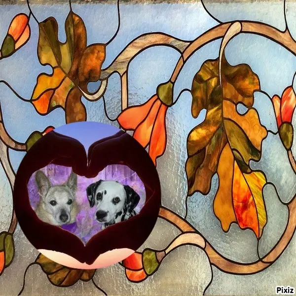 Condolence image of Tanja mit Timmy im Herzen 