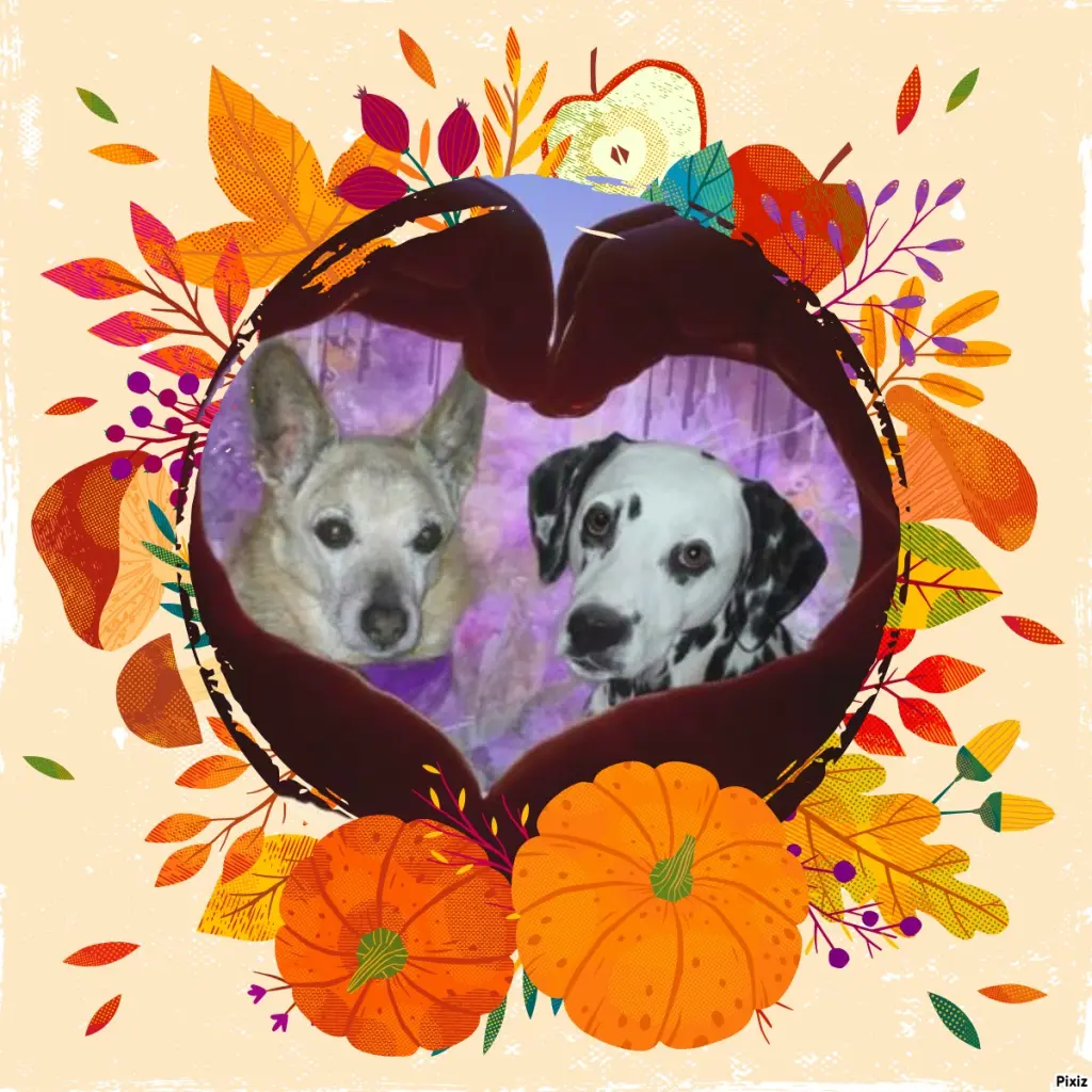 Condolence image of Tanja mit Timmy im Herzen 