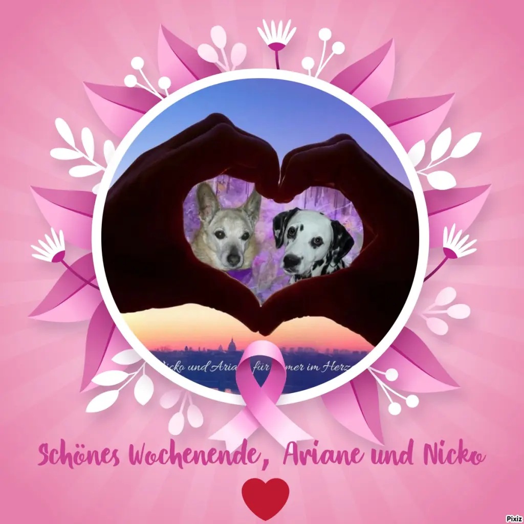 Condolence image of Tanja mit Timmy im Herzen 