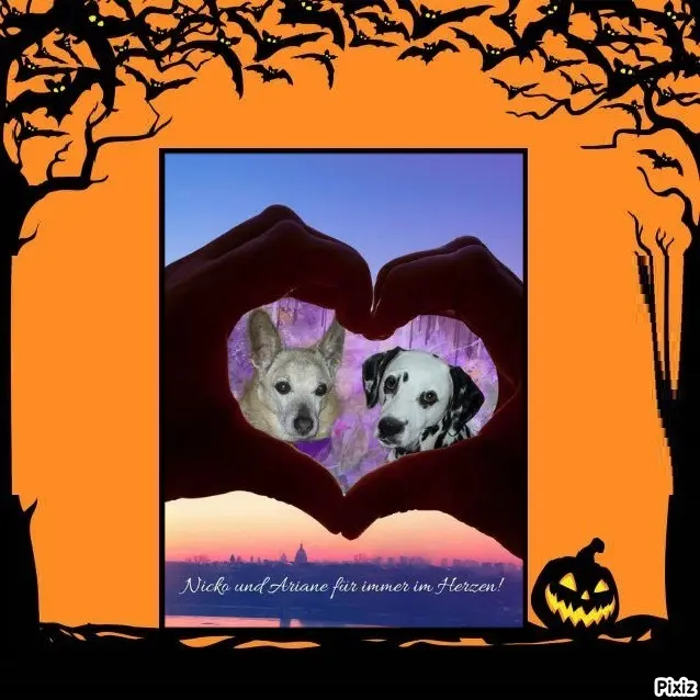 Condolence image of Tanja mit Timmy im Herzen