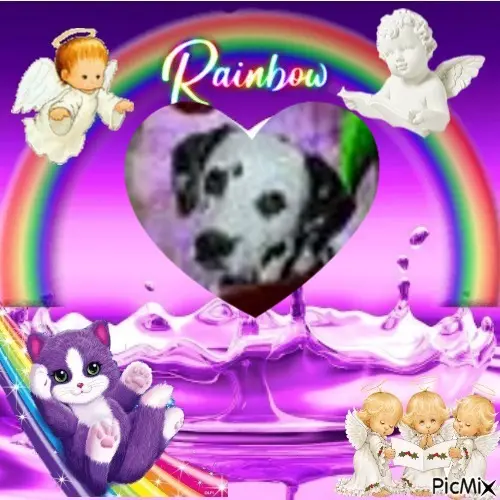 Condolence image of 8. Sternchen❤Gedenktag❤❤❤❤❤❤❤❤