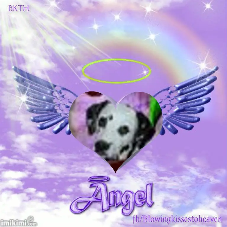 Condolence image of 8. Sternchen❤Gedenktag❤❤❤❤❤❤❤❤