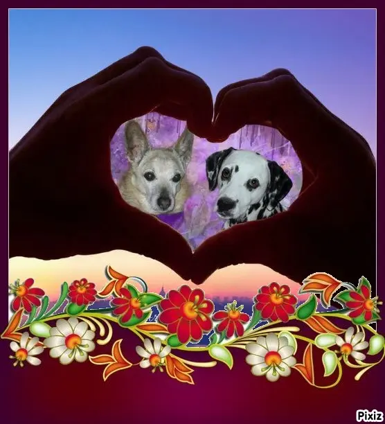 Condolence image of Tanja mit Timmy im Herzen