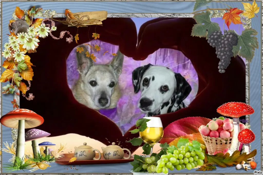 Condolence image of Tanja mit Timmy im Herzen
