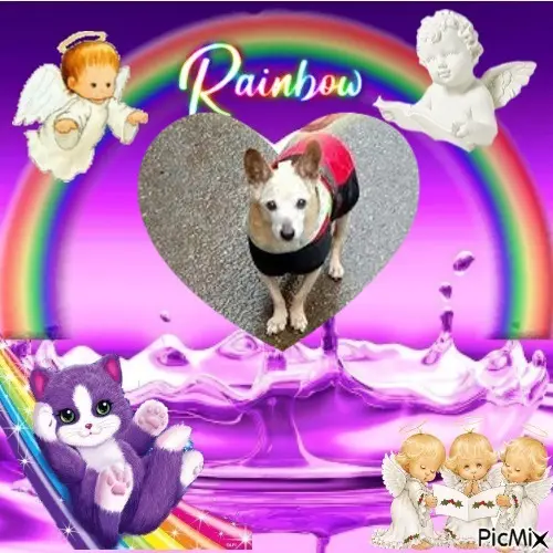 Condolence image of ❤4. Sternchen❤Gedenktag❤❤❤❤