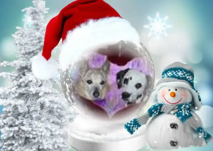 Condolence image of Nikolaus❤fur Nickolein❤und Arianchen❤