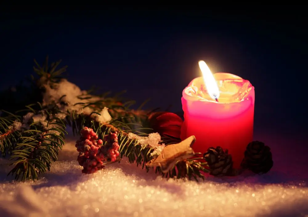 Condolence image of Kathrin mit Susi im Herzen