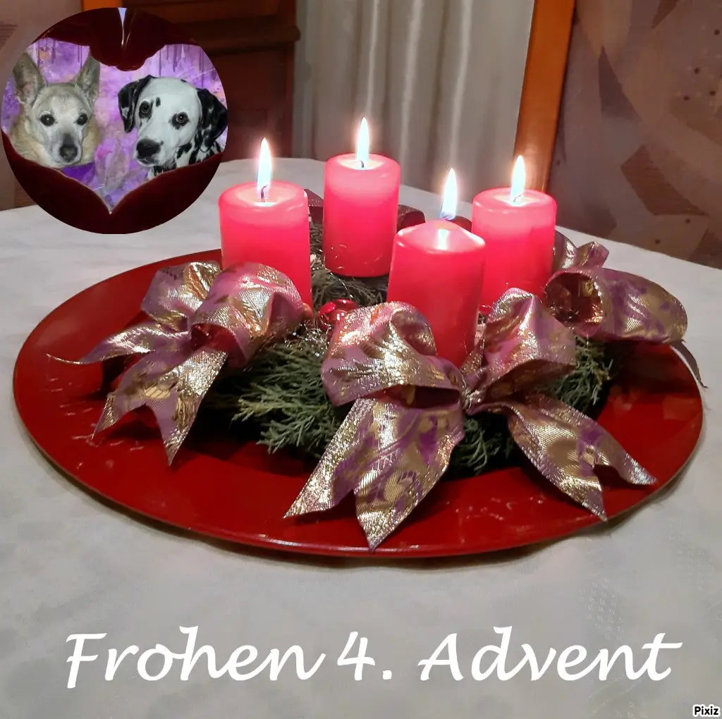 Condolence image of Tanja mit Timmy im Herzen