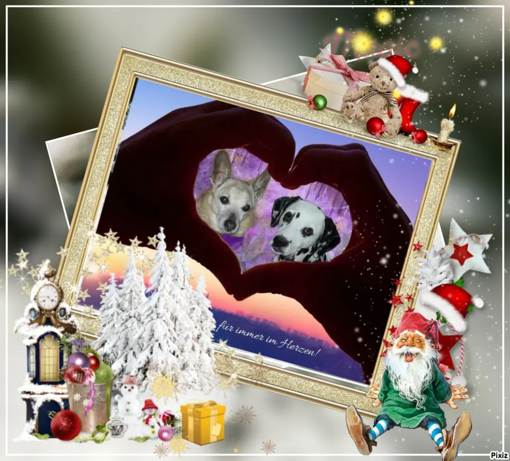 Condolence image of Tanja mit Timmy im Herzen