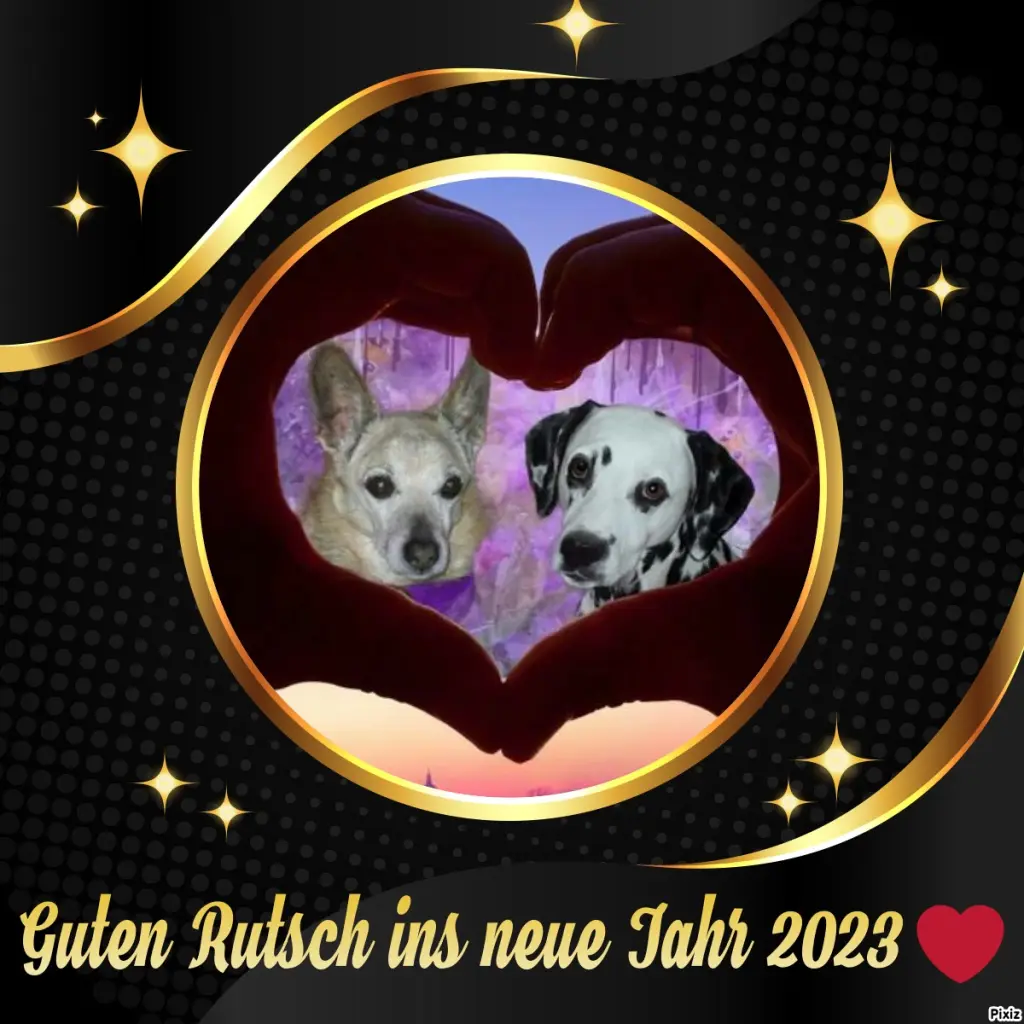 Condolence image of Tanja mit Timmy im Herzen