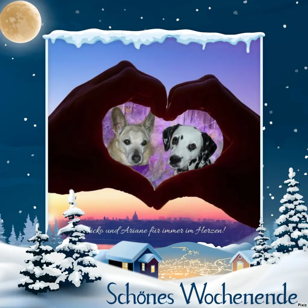 Condolence image of Tanja mit Timmy im Herzen 