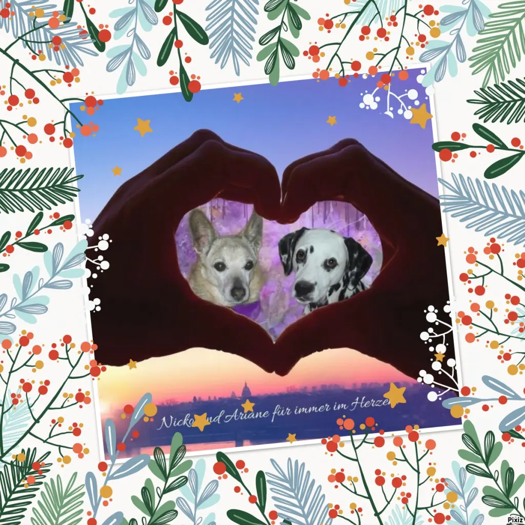 Condolence image of Tanja mit Timmy im Herzen 
