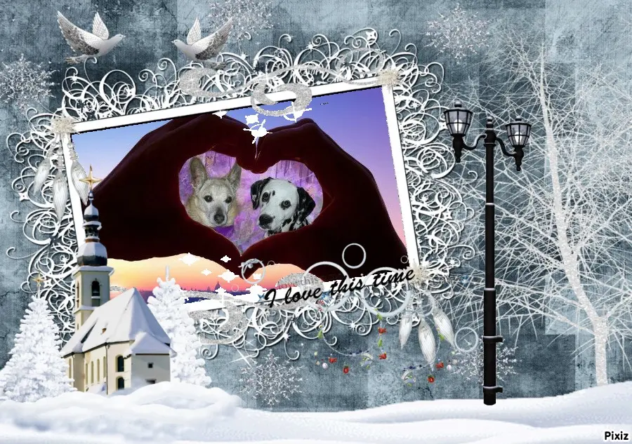 Condolence image of Tanja mit Timmy im Herzen 