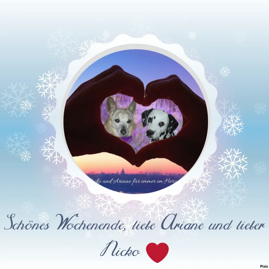 Condolence image of Tanja mit Timmy im Herzen 