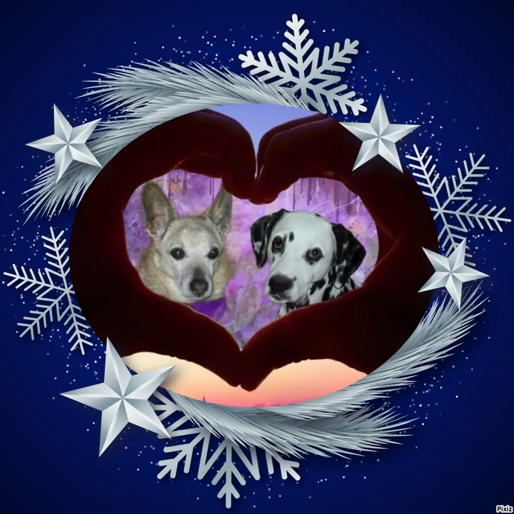 Condolence image of Tanja mit Timmy im Herzen 