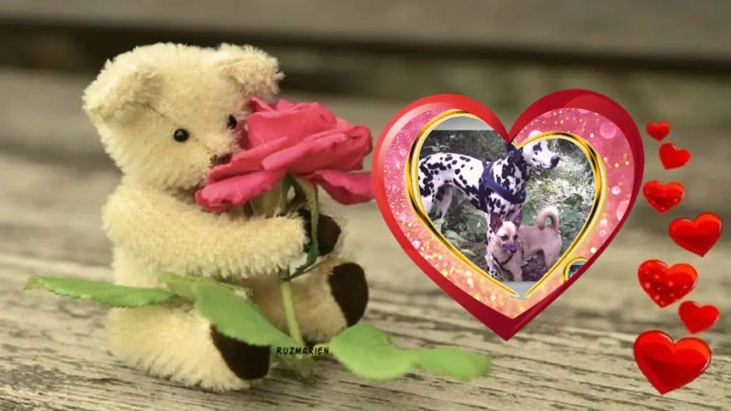 Condolence image of Sonntags❤️Rosen❤️❤️❤️❤️❤️❤️