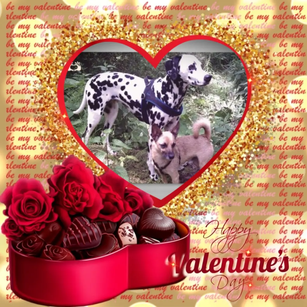 Condolence image of Valentins❤️Rosen❤️❤️❤️❤️❤️❤️❤️❤️