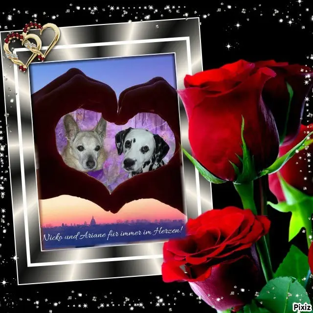 Condolence image of Tanja mit Timmy im Herzen