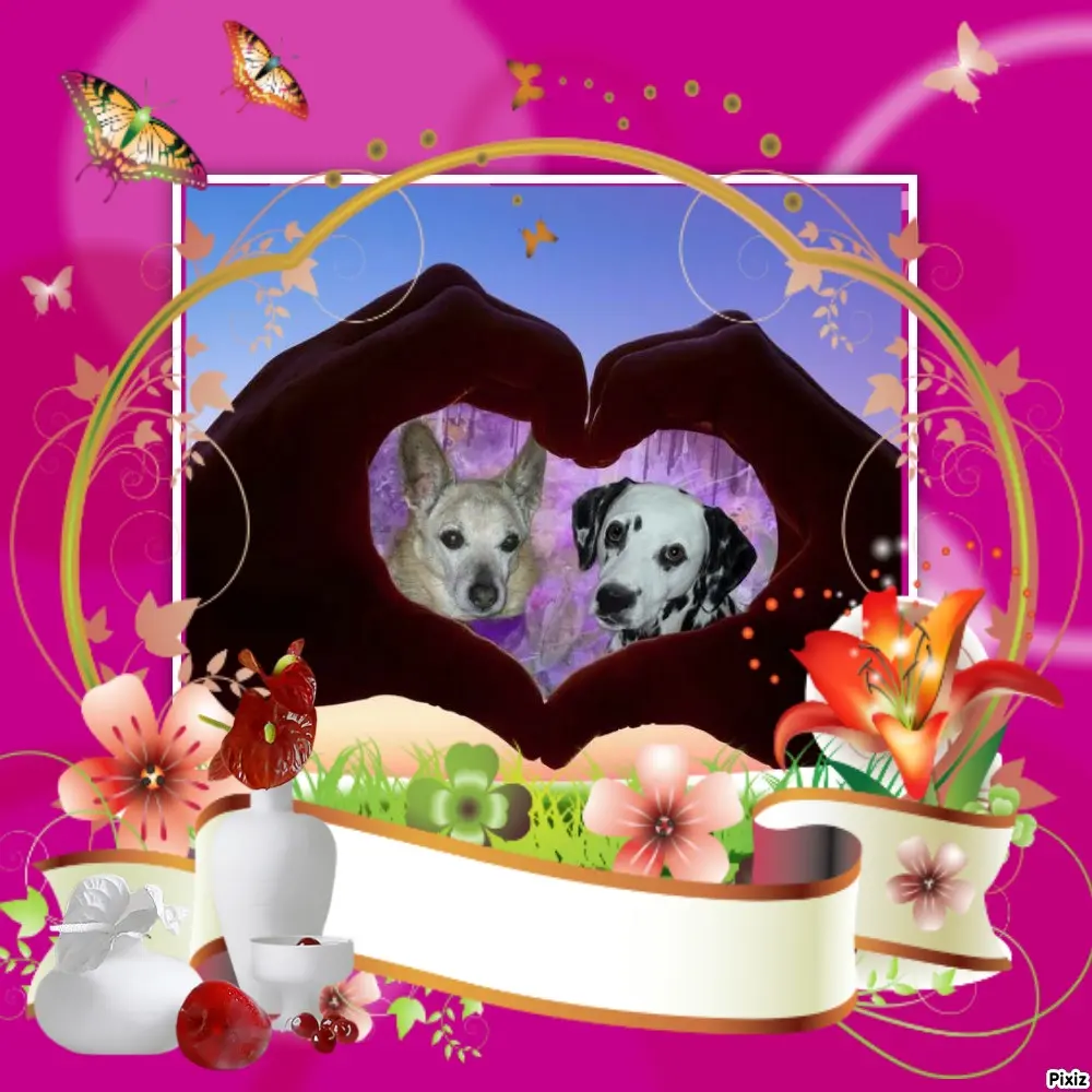 Condolence image of Tanja mit Timmy im Herzen