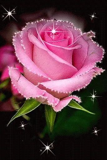 Condolence image of ♥️♥️♥️♥️♥️♥️