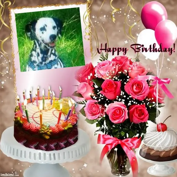 Condolence image of 21.Geburtstag❤️❤️❤️❤️❤️❤️❤️❤️❤️❤️❤️❤️❤️❤️❤️❤️❤️❤️❤️❤️❤️