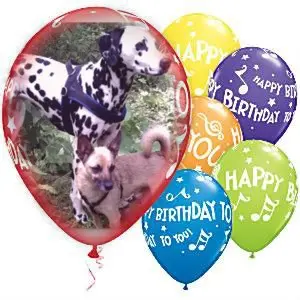Condolence image of 21.Geburtstag❤️❤️❤️❤️❤️❤️❤️❤️❤️❤️❤️❤️❤️❤️❤️❤️❤️❤️❤️❤️❤️