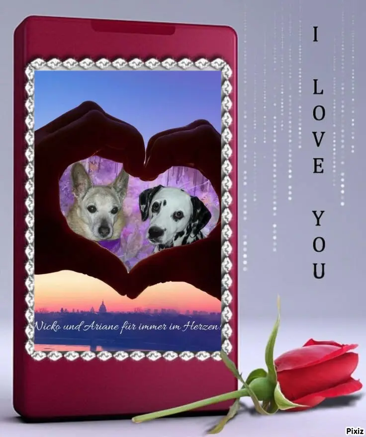 Condolence image of Tanja mit Timmy im Herzen