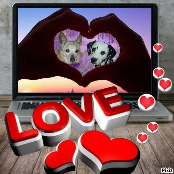 Condolence image of Tanja mit Timmy im Herzen