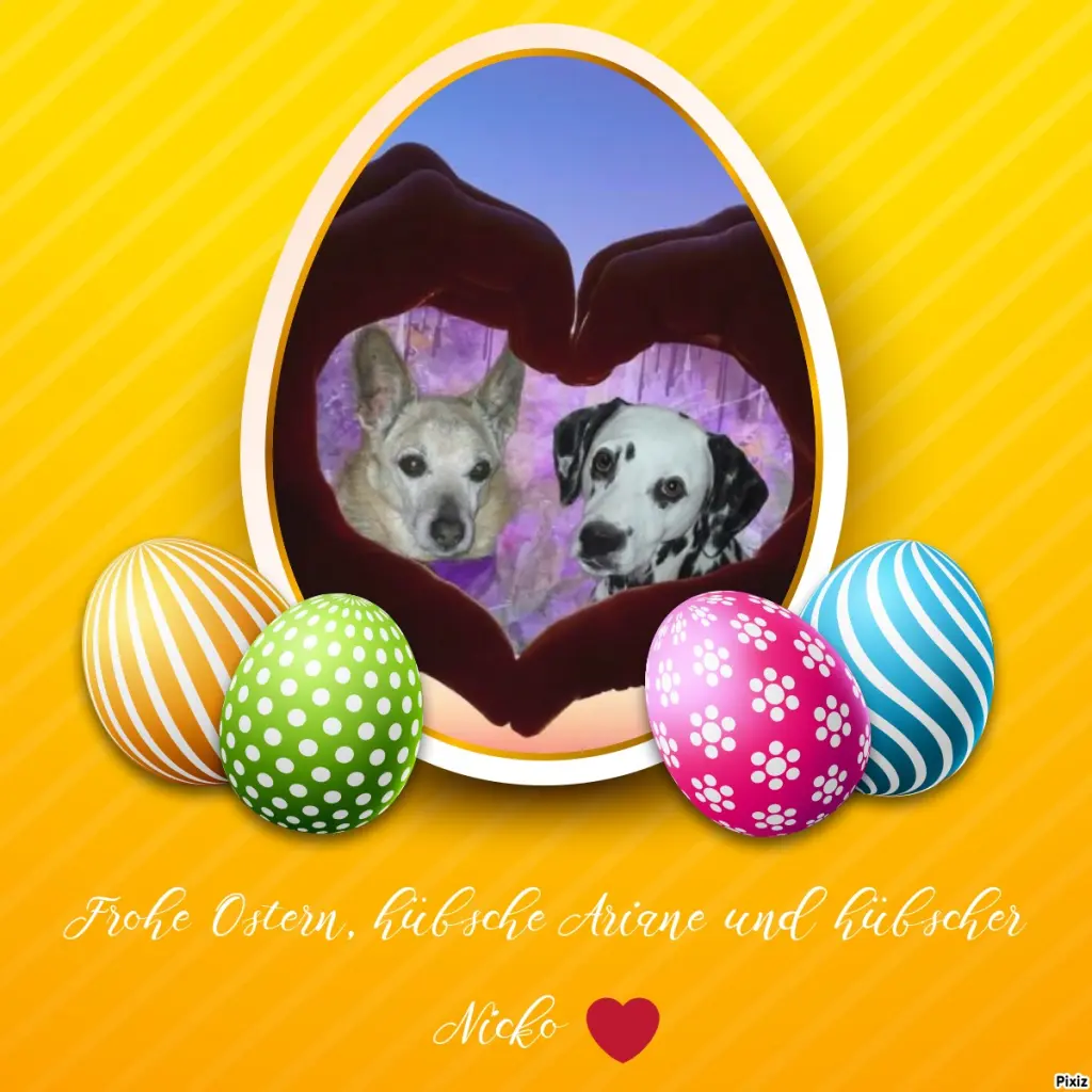 Condolence image of Tanja mit Timmy im Herzen