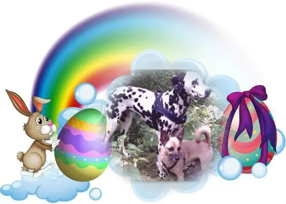 Condolence image of Frohe❤️❤️❤️Ostern❤️