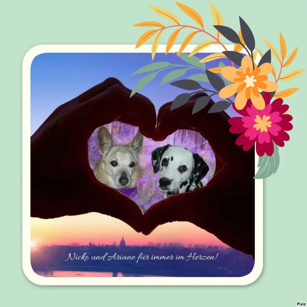 Condolence image of Tanja mit Timmy im Herzen