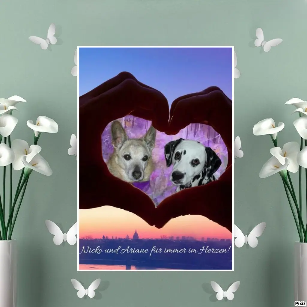 Condolence image of Tanja mit Timmy im Herzen