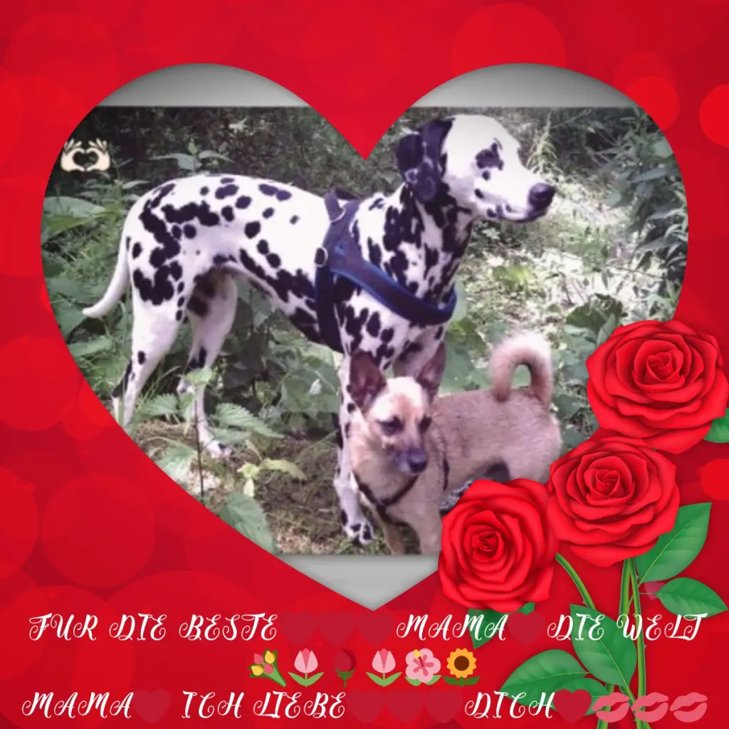 Condolence image of Rosen❤️❤️❤️❤️❤️fur Mama❤️Michaela❤️