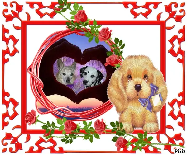 Condolence image of Tanja mit Timmy im Herzen