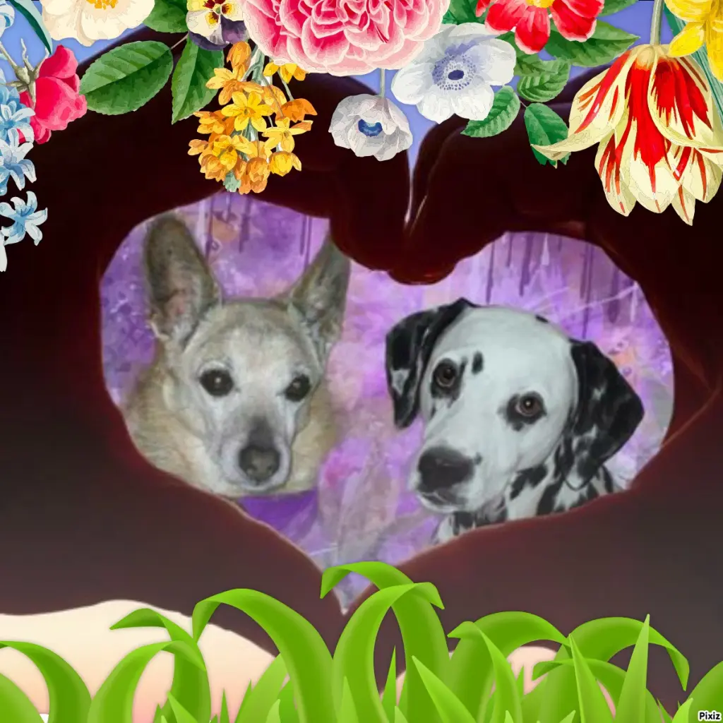 Condolence image of Tanja mit Timmy im Herzen