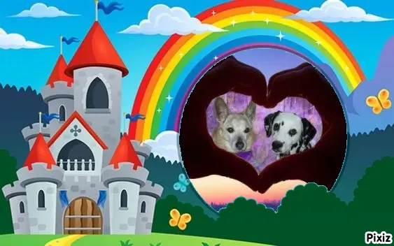 Condolence image of Tanja mit Timmy im Herzen