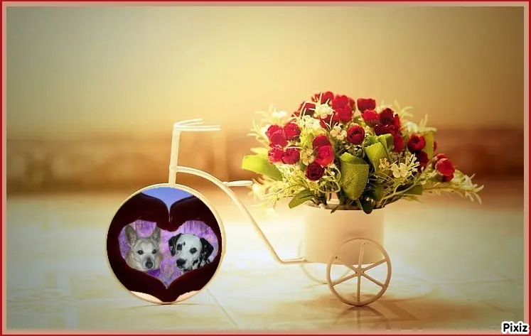 Condolence image of Tanja mit Timmy im Herzen 