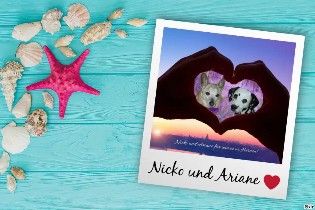 Condolence image of Tanja mit Timmy im Herzen 