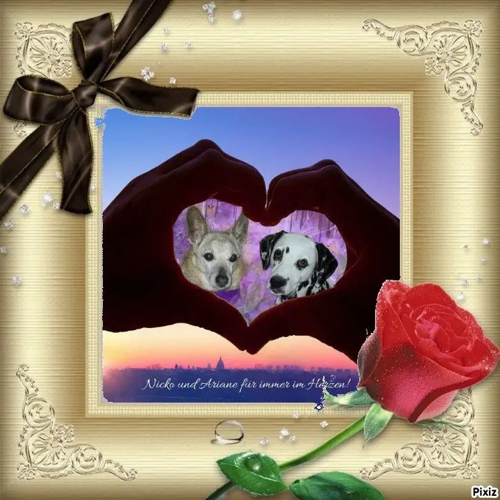 Condolence image of Tanja mit Timmy im Herzen 