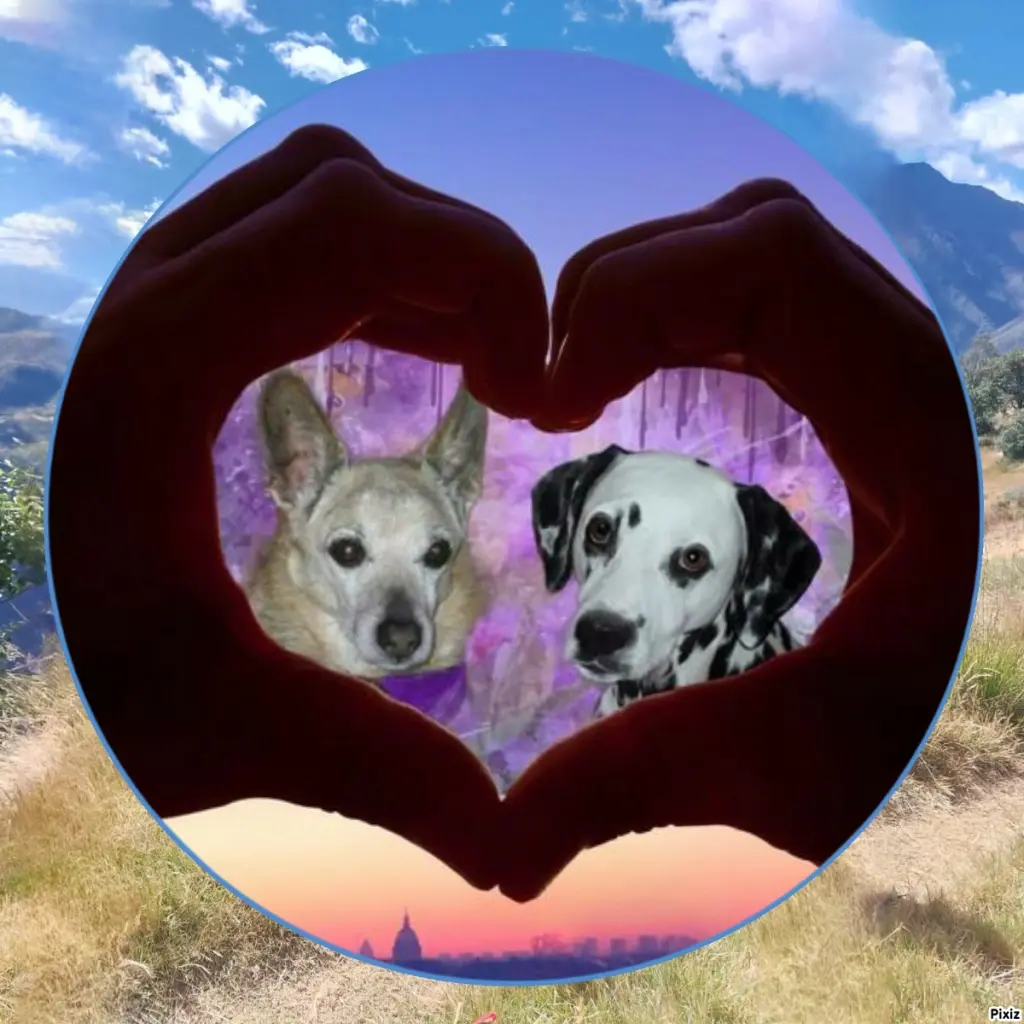 Condolence image of Tanja mit Timmy im Herzen 