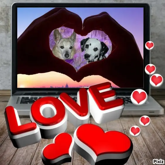 Condolence image of Tanja mit Timmy im Herzen 