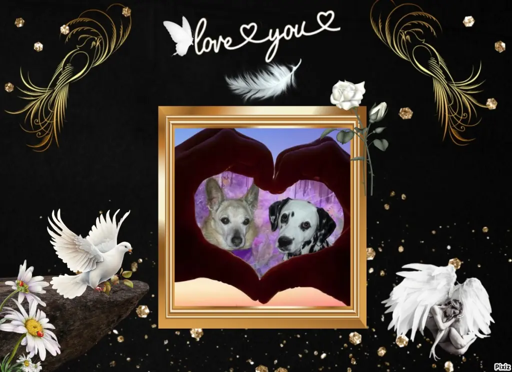 Condolence image of Tanja mit Timmy im Herzen 