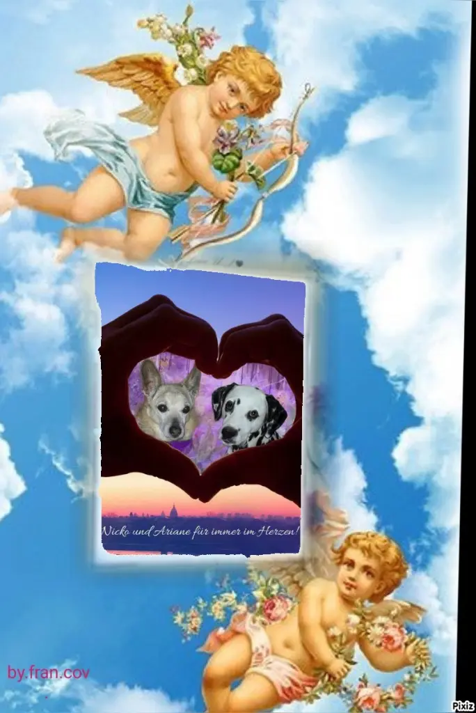 Condolence image of Tanja mit Timmy im Herzen 