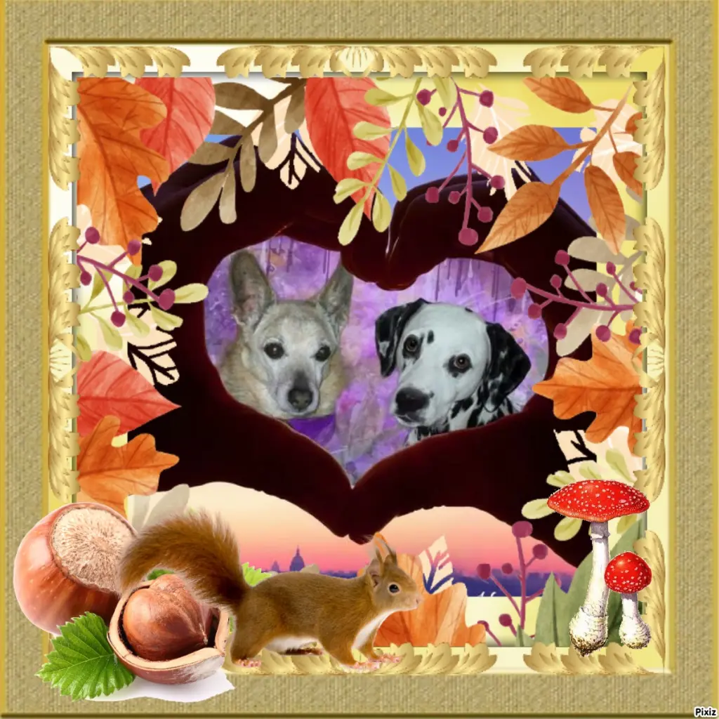 Condolence image of Tanja mit Timmy im Herzen 