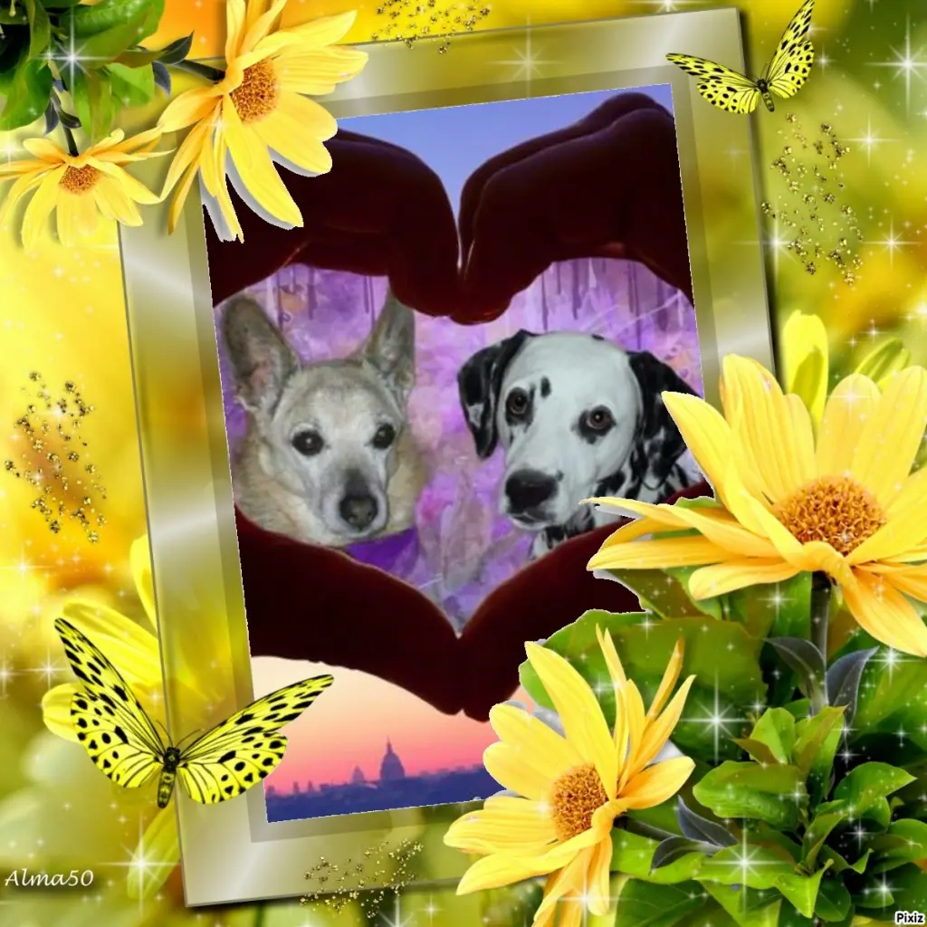 Condolence image of Tanja mit Timmy im Herzen 