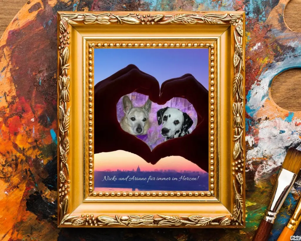 Condolence image of Tanja mit Timmy im Herzen