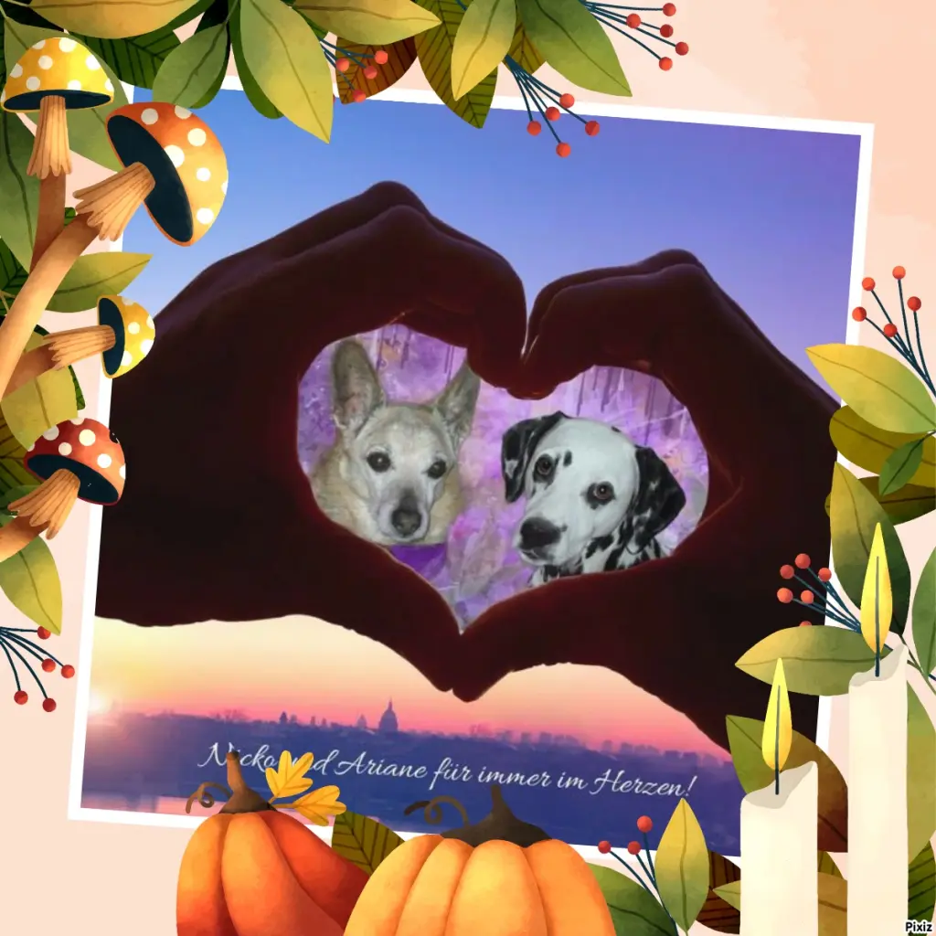 Condolence image of Tanja mit Timmy im Herzen